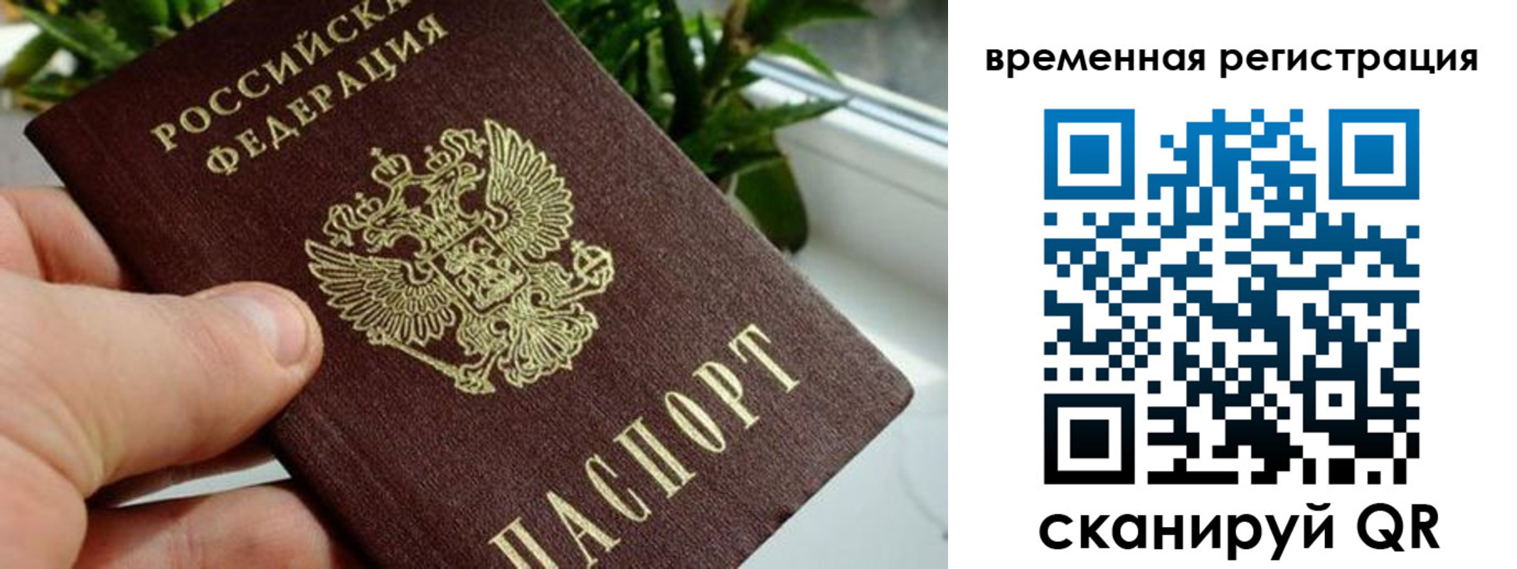 прописка поиск в Донецке